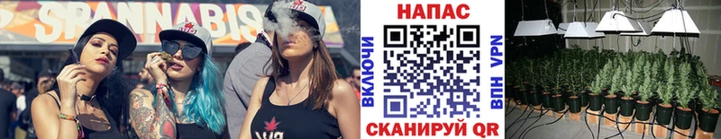 Наркота Геленджик Галлюциногенные грибы  LSD-25  Мефедрон  Кокаин  ГАШ  A PVP 