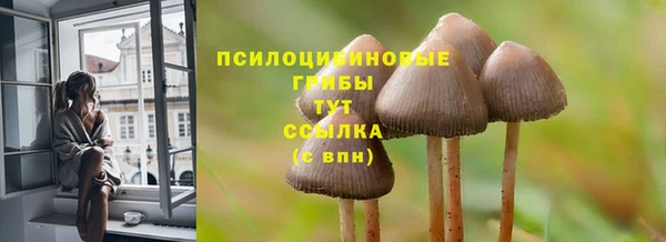бошки Волосово