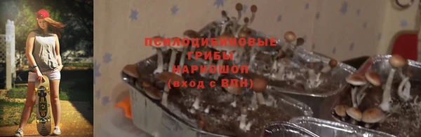 бошки Волосово