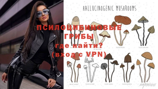 гидра Новый Уренгой