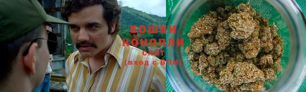 прущие грибы Артём