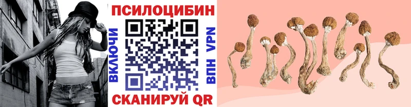 где найти   Геленджик  Псилоцибиновые грибы MAGIC MUSHROOMS 