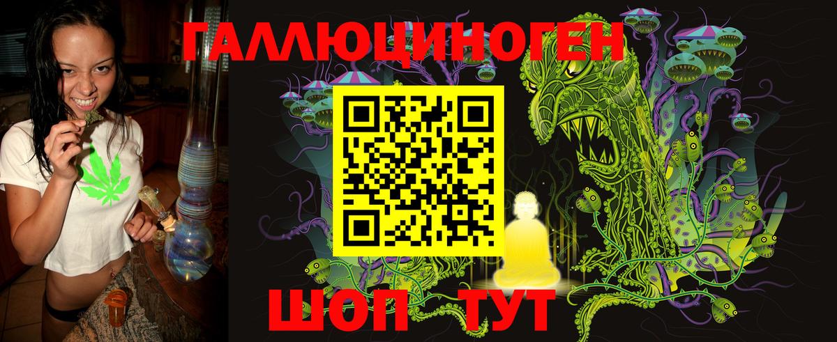 Галлюциногенные грибы GOLDEN TEACHER  купить наркотик  Геленджик  Вход с VPN 