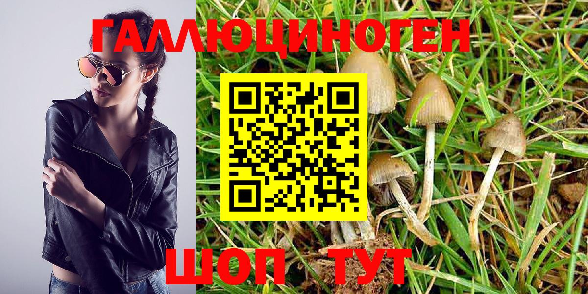 Галлюциногенные грибы Magic Shrooms Геленджик
